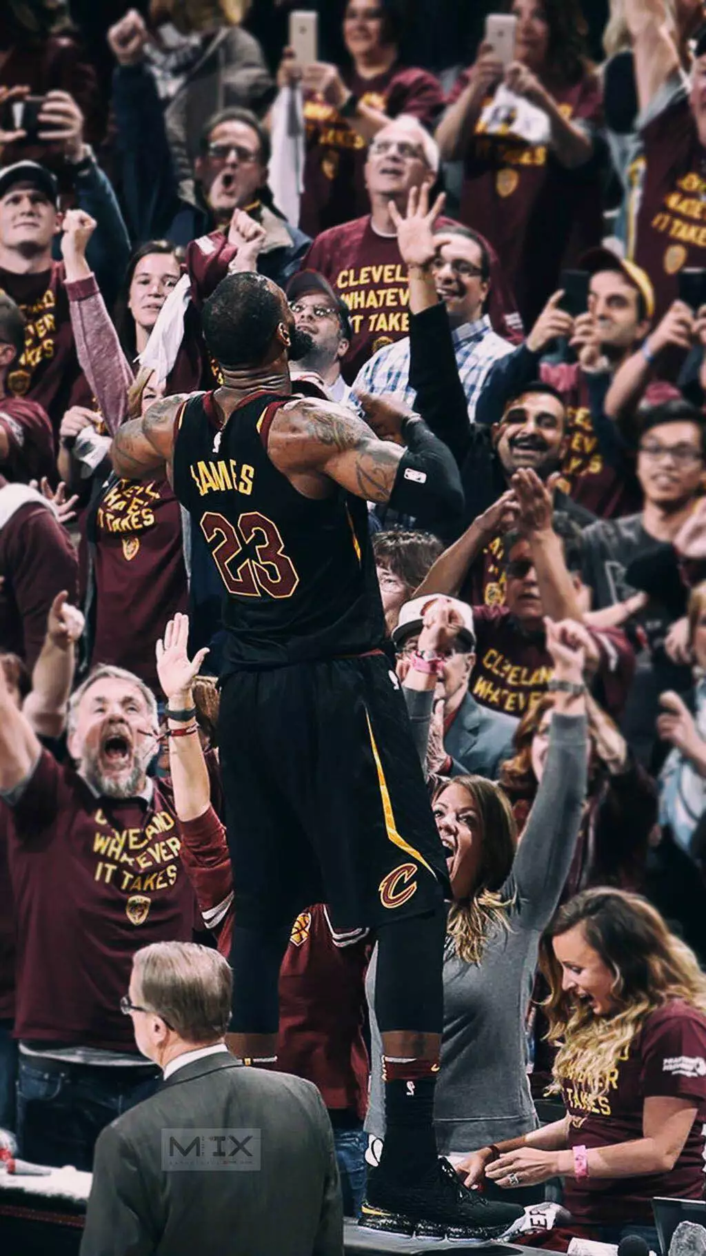 本菲卡获得 本菲卡获得